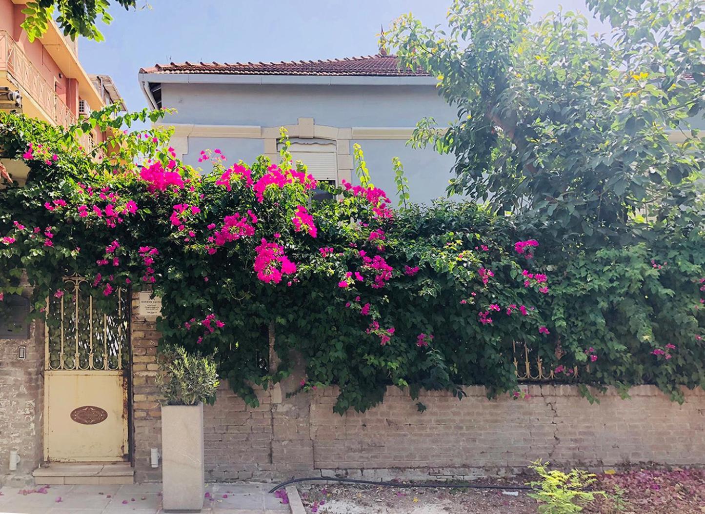 Garden Appartement *